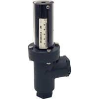 CPVC流量計 CPF系列