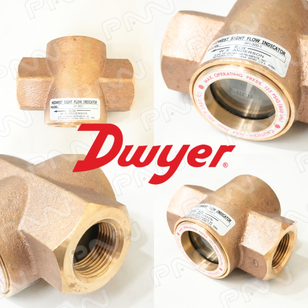 Dwyer 視流指示器 SFI-300-1