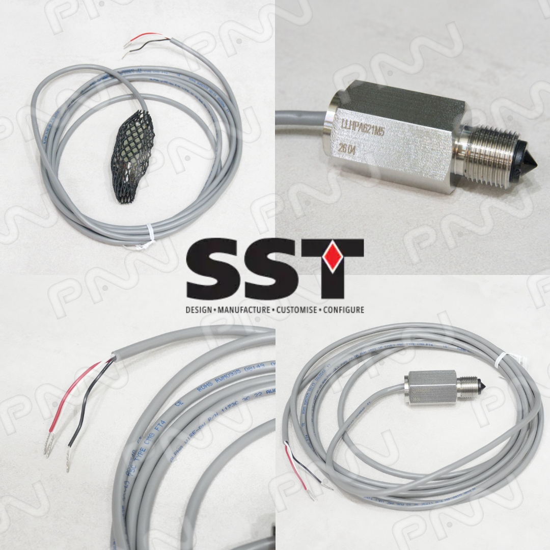 LLHP液位開關 LLHPA621M5